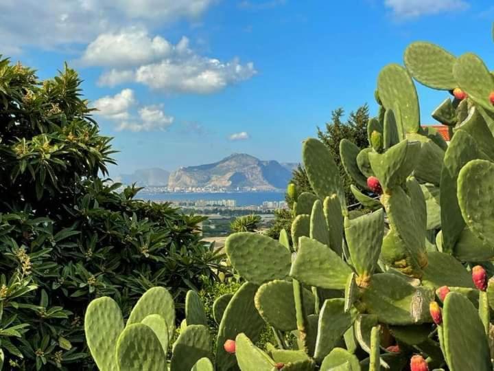 Il Siciliano Home Palermo Bagian luar foto